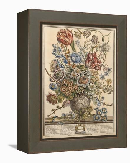 March, from 'Twelve Months of Flowers' by Robert Furber (C.1674-1756) Engraved by Henry Fletcher-Pieter Casteels-Framed Premier Image Canvas