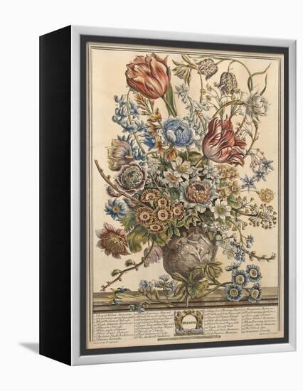 March, from 'Twelve Months of Flowers' by Robert Furber (C.1674-1756) Engraved by Henry Fletcher-Pieter Casteels-Framed Premier Image Canvas