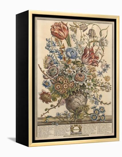 March, from 'Twelve Months of Flowers' by Robert Furber (C.1674-1756) Engraved by Henry Fletcher-Pieter Casteels-Framed Premier Image Canvas