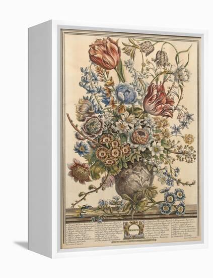 March, from 'Twelve Months of Flowers' by Robert Furber (C.1674-1756) Engraved by Henry Fletcher-Pieter Casteels-Framed Premier Image Canvas