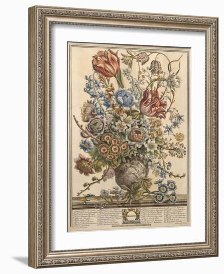 March, from 'Twelve Months of Flowers' by Robert Furber (C.1674-1756) Engraved by Henry Fletcher-Pieter Casteels-Framed Giclee Print