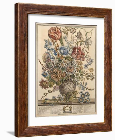 March, from 'Twelve Months of Flowers' by Robert Furber (C.1674-1756) Engraved by Henry Fletcher-Pieter Casteels-Framed Giclee Print