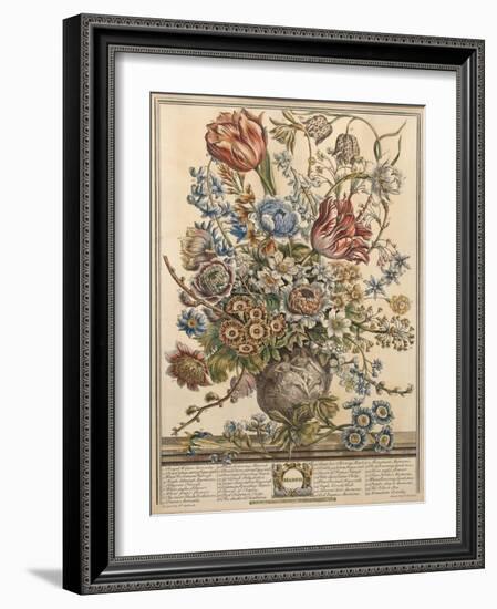 March, from 'Twelve Months of Flowers' by Robert Furber (C.1674-1756) Engraved by Henry Fletcher-Pieter Casteels-Framed Giclee Print