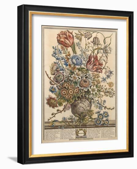 March, from 'Twelve Months of Flowers' by Robert Furber (C.1674-1756) Engraved by Henry Fletcher-Pieter Casteels-Framed Giclee Print