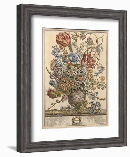 March, from 'Twelve Months of Flowers' by Robert Furber (C.1674-1756) Engraved by Henry Fletcher-Pieter Casteels-Framed Giclee Print