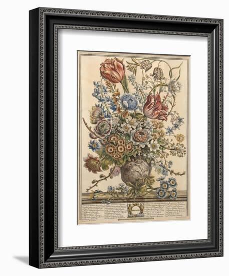 March, from 'Twelve Months of Flowers' by Robert Furber (C.1674-1756) Engraved by Henry Fletcher-Pieter Casteels-Framed Giclee Print