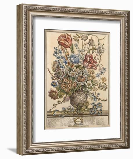 March, from 'Twelve Months of Flowers' by Robert Furber (C.1674-1756) Engraved by Henry Fletcher-Pieter Casteels-Framed Premium Giclee Print