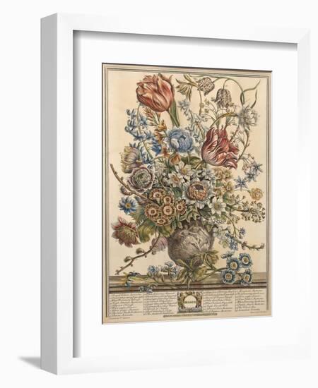 March, from 'Twelve Months of Flowers' by Robert Furber (C.1674-1756) Engraved by Henry Fletcher-Pieter Casteels-Framed Premium Giclee Print