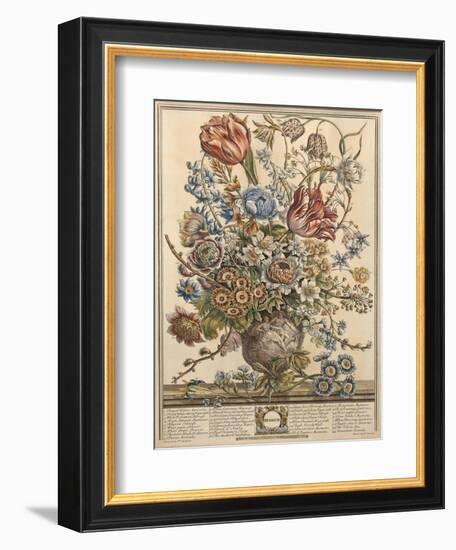 March, from 'Twelve Months of Flowers' by Robert Furber (C.1674-1756) Engraved by Henry Fletcher-Pieter Casteels-Framed Premium Giclee Print