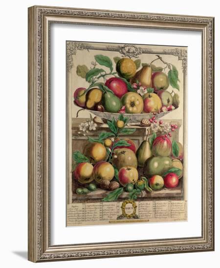 March, from "Twelve Months of Fruits", by Robert Furber, 1732-Pieter Casteels-Framed Giclee Print