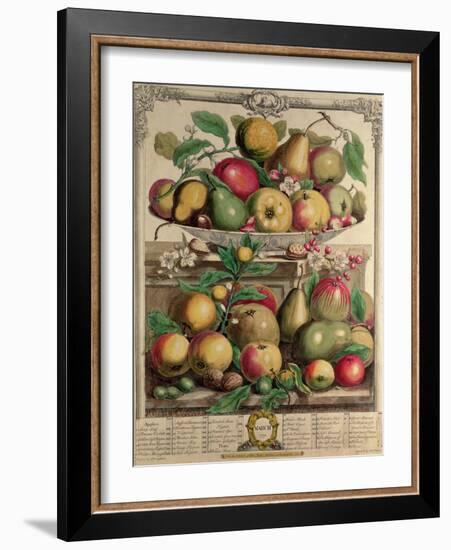 March, from "Twelve Months of Fruits", by Robert Furber, 1732-Pieter Casteels-Framed Giclee Print