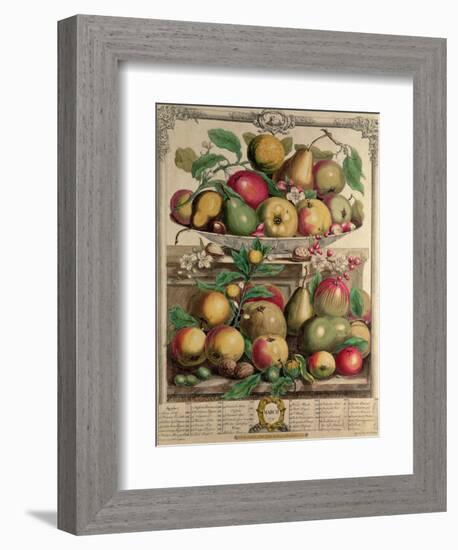 March, from "Twelve Months of Fruits", by Robert Furber, 1732-Pieter Casteels-Framed Giclee Print