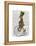 March Hare on Penny Farthing-Fab Funky-Framed Stretched Canvas