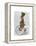 March Hare on Penny Farthing-Fab Funky-Framed Stretched Canvas