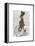 March Hare on Penny Farthing-Fab Funky-Framed Stretched Canvas