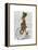 March Hare on Penny Farthing-Fab Funky-Framed Stretched Canvas