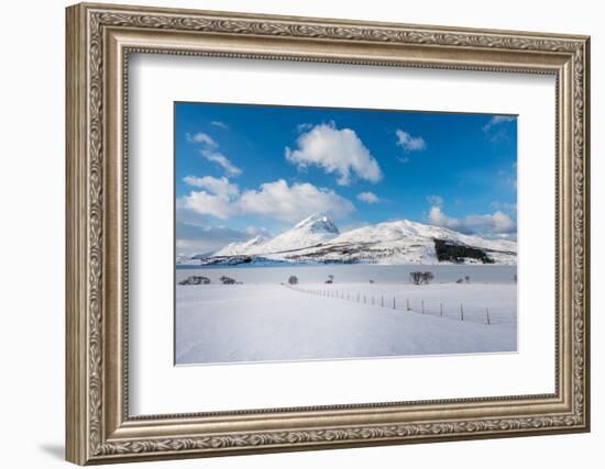 March in Norway-Philippe Sainte-Laudy-Framed Photographic Print