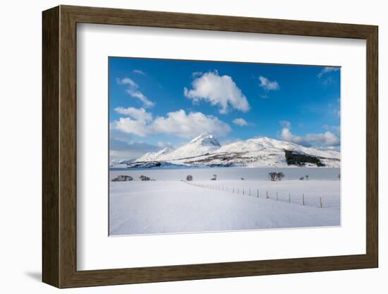 March in Norway-Philippe Sainte-Laudy-Framed Photographic Print