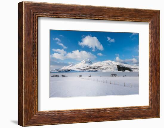 March in Norway-Philippe Sainte-Laudy-Framed Photographic Print