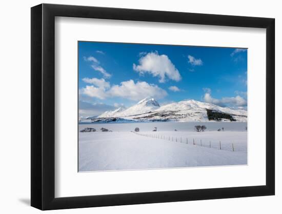 March in Norway-Philippe Sainte-Laudy-Framed Photographic Print