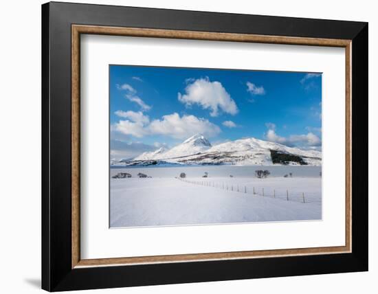 March in Norway-Philippe Sainte-Laudy-Framed Photographic Print