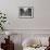 March on Washington, African Americans with Civil Rights Signs, Aug. 28, 1963-null-Framed Photo displayed on a wall