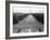 March on Washington-null-Framed Photographic Print