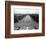 March on Washington-null-Framed Photographic Print