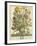 March-Robert Furber-Framed Giclee Print