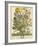 March-Robert Furber-Framed Giclee Print