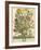 March-Robert Furber-Framed Giclee Print