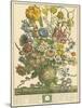 March-Robert Furber-Mounted Giclee Print