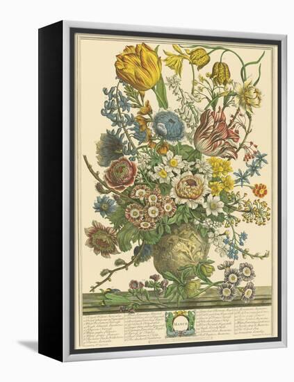 March-Robert Furber-Framed Stretched Canvas