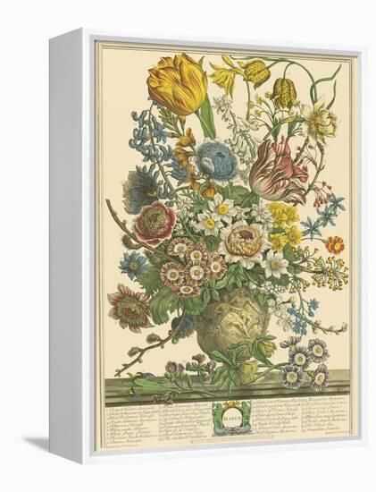 March-Robert Furber-Framed Stretched Canvas