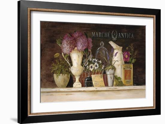 Marche Antica Vignette-Angela Staehling-Framed Premium Giclee Print