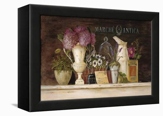 Marche Antica Vignette-Angela Staehling-Framed Stretched Canvas