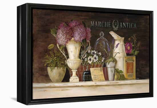 Marche Antica Vignette-Angela Staehling-Framed Stretched Canvas