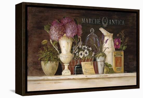 Marche Antica Vignette-Angela Staehling-Framed Stretched Canvas