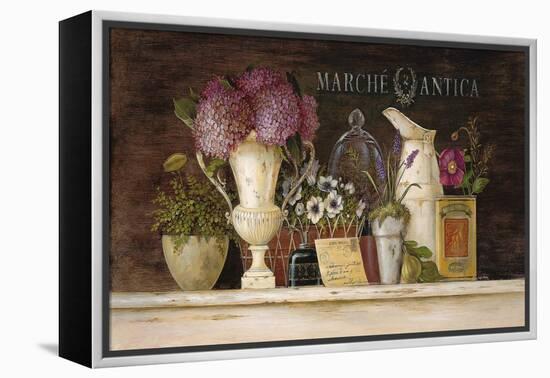 Marche Antica Vignette-Angela Staehling-Framed Stretched Canvas