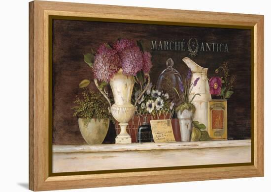 Marche Antica Vignette-Angela Staehling-Framed Stretched Canvas