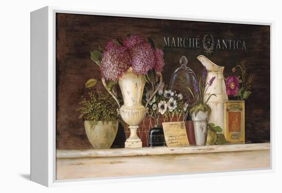 Marche Antica Vignette-Angela Staehling-Framed Stretched Canvas