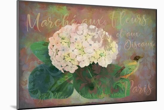 Marche? Aux Fleur - Flower Market-Cora Niele-Mounted Giclee Print