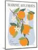 Marche aux Fruits I-Laura Marshall-Mounted Art Print