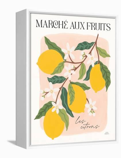 Marche aux Fruits II-Laura Marshall-Framed Stretched Canvas