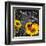 Marché aux tournesols-Bruno Pozzo-Framed Art Print