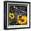 Marché aux tournesols-Bruno Pozzo-Framed Art Print