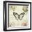 Marche de Fleurs Butterfly II-Lisa Audit-Framed Art Print