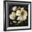 Marche de Fleurs on Black II-Lisa Audit-Framed Art Print