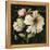 Marche de Fleurs on Black II-Lisa Audit-Framed Stretched Canvas