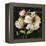 Marche de Fleurs on Black II-Lisa Audit-Framed Stretched Canvas